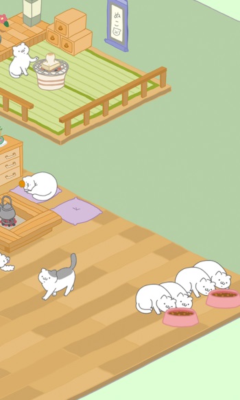 猫咪很可爱