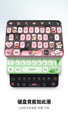 搜狗输入法定制版