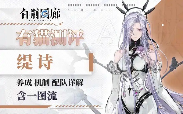 白荆回廊缇诗怎么配队 白荆回廊缇诗配队及记忆烙痕配对推荐